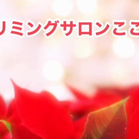 12月　〜スライドショー〜の画像