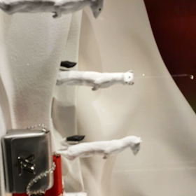 今日の一枚の画像