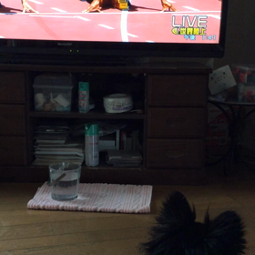 応援するラッキーの画像