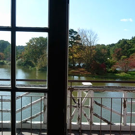 助けられなかった人の画像