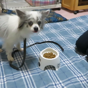 ロチャの良いとこみて〜の画像