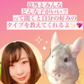 仲間は欲しい？その子によってタイプの子がある♡の画像