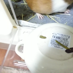 初動画＊何が気になる？の画像