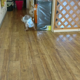 お泊まりの画像