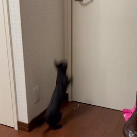 夏の怖い話…の画像