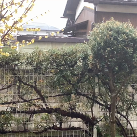 久しぶりの雨の画像