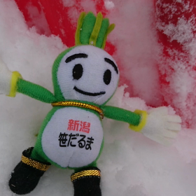 1/24の画像