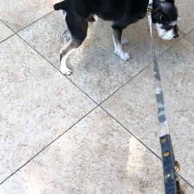 もう帰りまつの画像