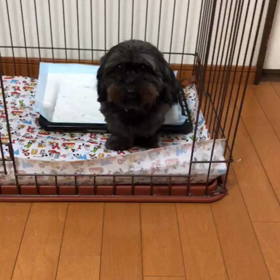 九州から車持って来て疲れた笑笑の画像