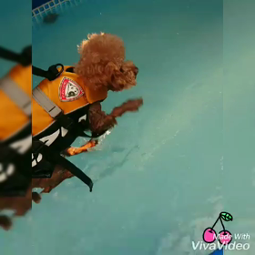 ボス頑張った‼️の画像