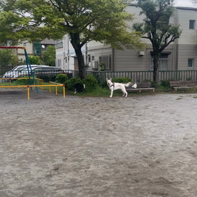 日曜日に気付くことの画像