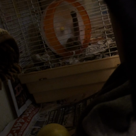 フクロモモンガと回転ぐるまの画像