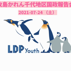 街頭活動と国政報告会の画像