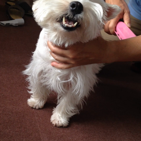 ささやかな抵抗の画像