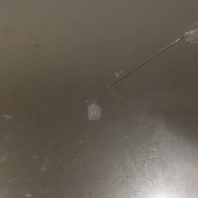 山形で初めて…の画像