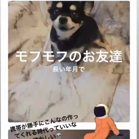 the GazettE  モフモフの画像