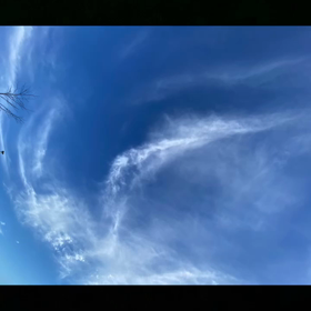 気持ちのよくて、優しい気持ちの朝　♡   86本／100本の画像