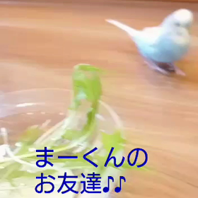 お友達紹介して❤️パンツはいてることも報告❤️の画像