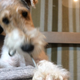 パンツのひもの画像