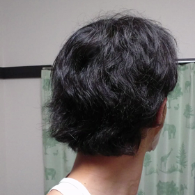 食肉目ワ～イルドラ～イフ∟(￣(工)￣)ノ！の画像