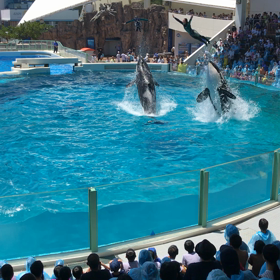 夏合宿37の画像