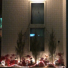 仁歯科イルミネーションの画像