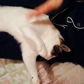 オーネヘルツの画像