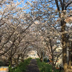 娘より おすそ分け♡の画像