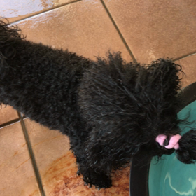 水遊び  だ〜い好きの画像