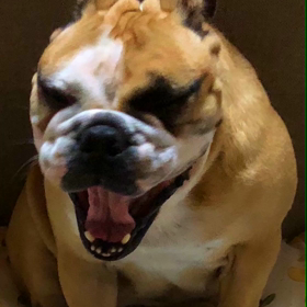 ひまか！の画像