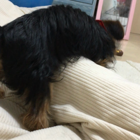 あらら、、、の画像