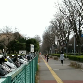 ロード練習ゴール③の画像