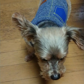 休憩の合間に…の画像