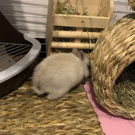 狭いとこの画像