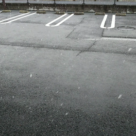 雪だぁ～の画像