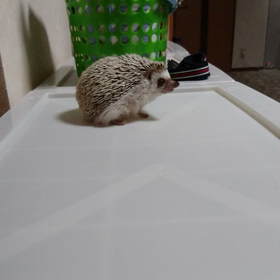 ももた君との 絆。の画像