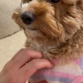 あぁ〜気持ちいいの画像