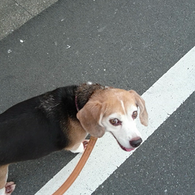 撮ってるんでしょ？の画像