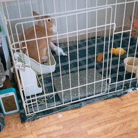 後ろ髪引かれる思いの画像