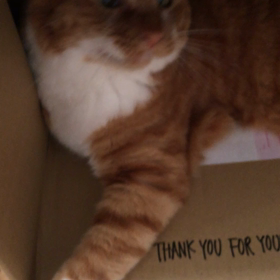 おはよ。の画像