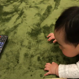 7m11d＊ズリバイとお座りの画像