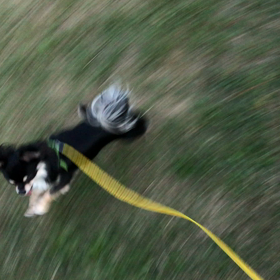 元気が1番 小さい組の画像