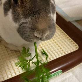 牧場みやげの画像