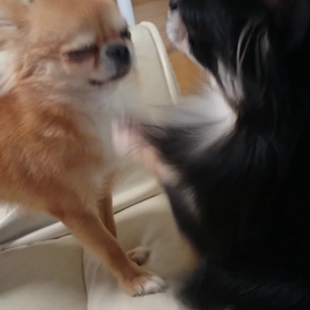 顔にオテ？の画像