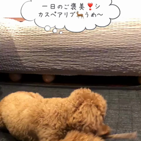 ちいちゃんの思惑の画像