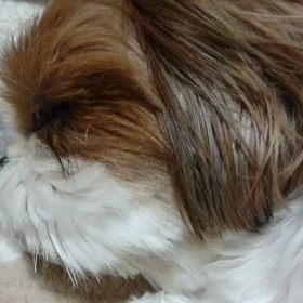 そらのいびきの画像