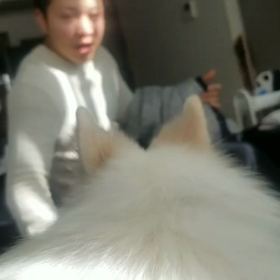 幸せな朝の画像