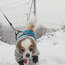 2021.2.23(火)の画像