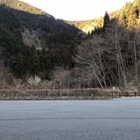 某所でウィリー練習の画像