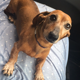 関東梅雨明けの画像
